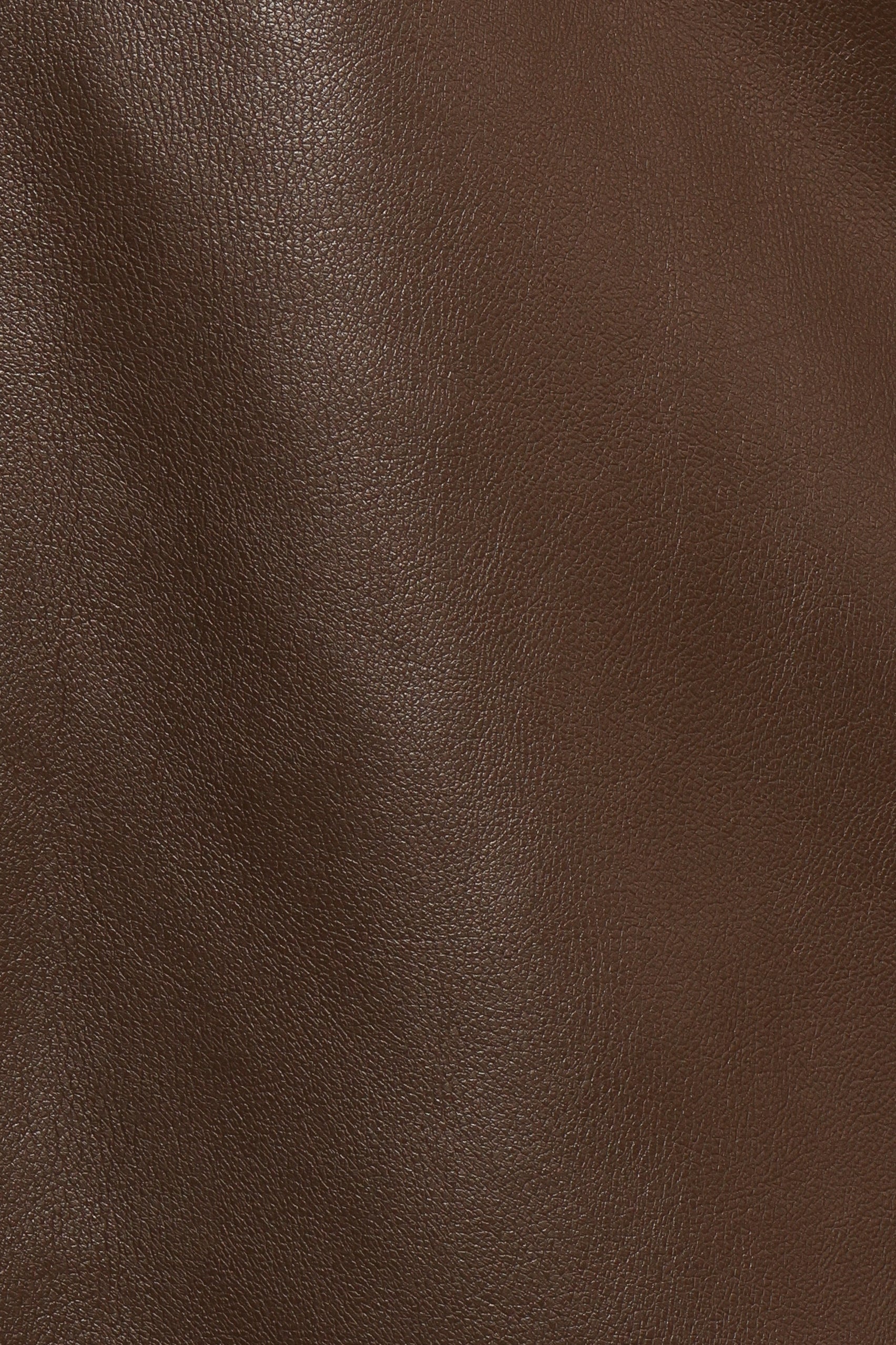 Petal and Pup USA BOTTOMS Haelee Faux Leather Skirt - Brown (Hold for Rack)