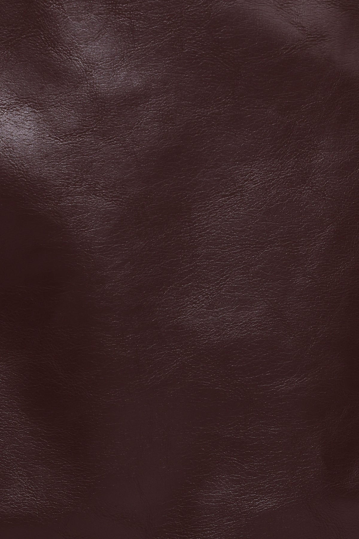 Petal and Pup USA BOTTOMS Parker Faux Leather Mini Skirt - Burgundy