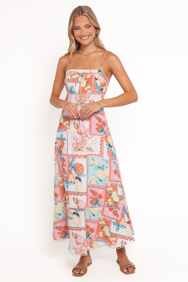 Petal and Pup USA DRESSES Adalynn Maxi Dress - Fruit Print
