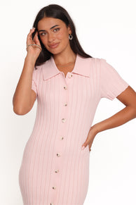 Petal and Pup USA DRESSES Aisha Short Sleeve Knit Midi Dress - Pink