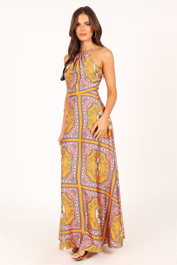 Petal and Pup USA DRESSES Amara Maxi Dress - Tangerine