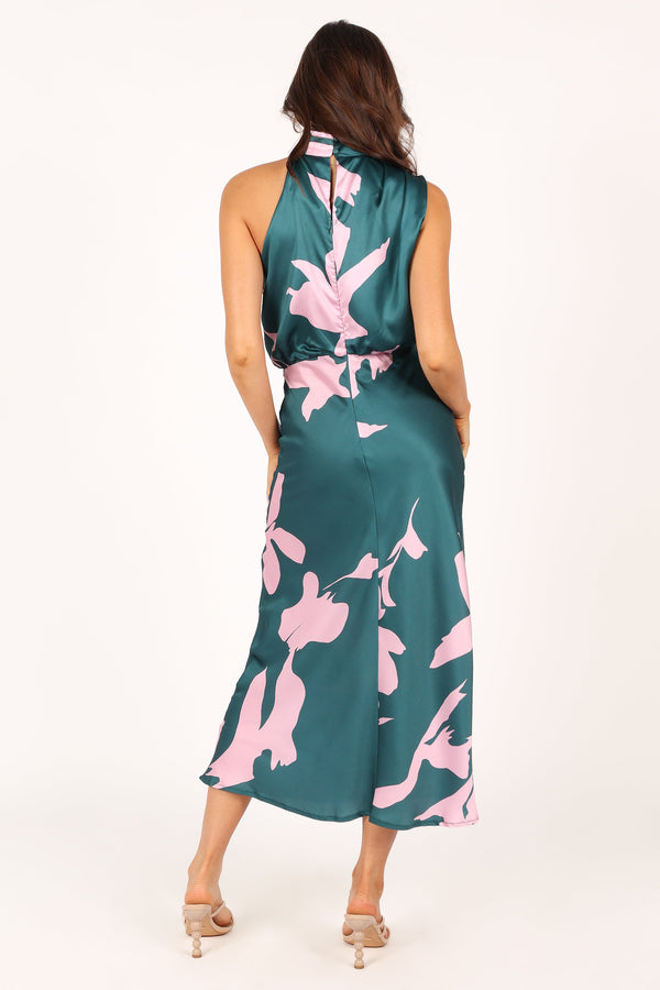 Petal and Pup USA DRESSES Anabelle Halter Neck Maxi Dress - Green Pink