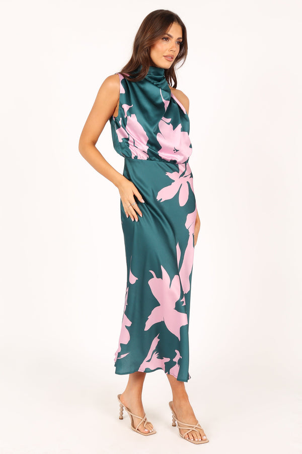 Petal and Pup USA DRESSES Anabelle Halter Neck Maxi Dress - Green Pink