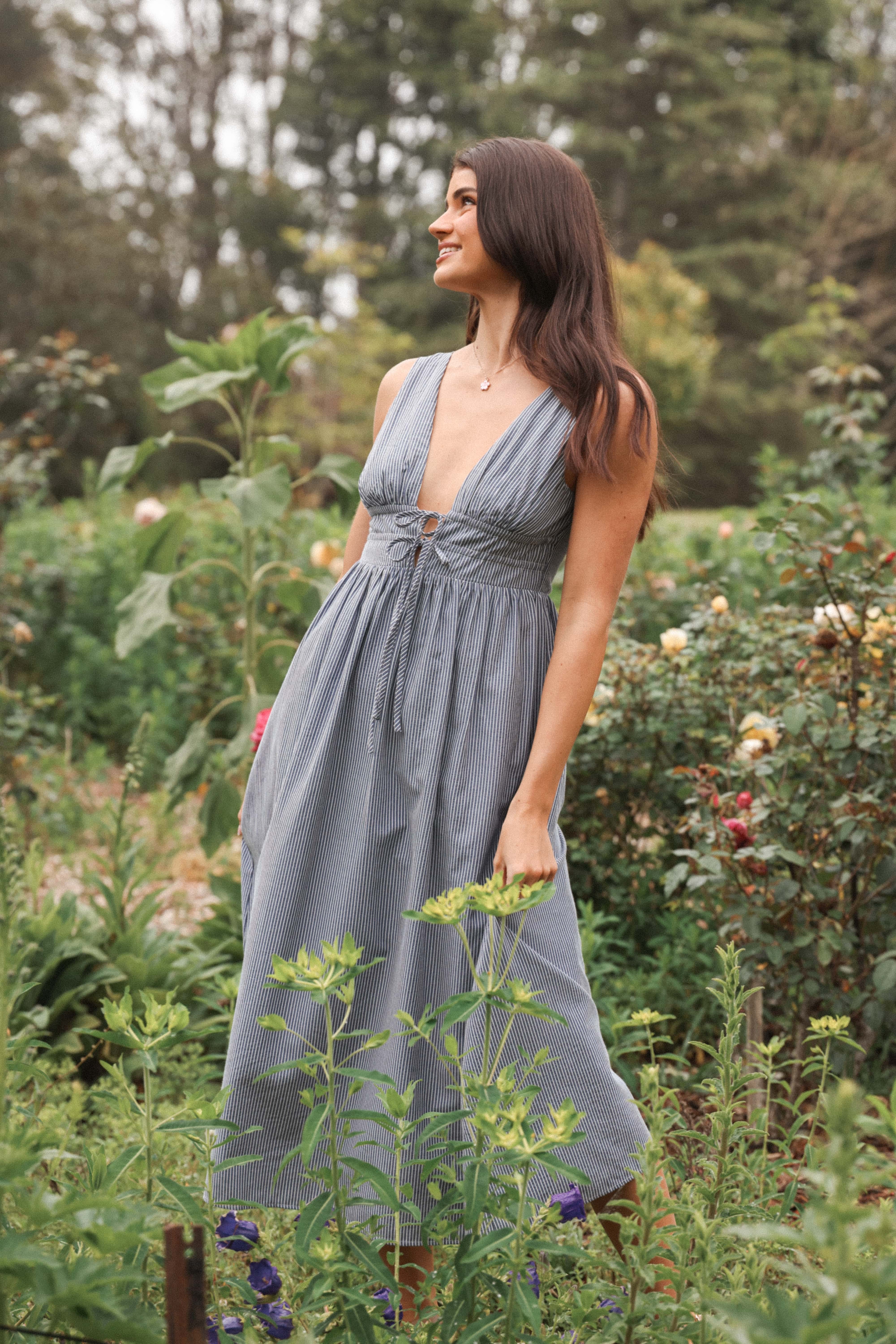Annora Midi Dress - Navy Pinstripe | Petal & Pup USA