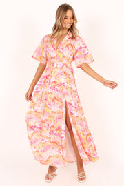 Petal and Pup USA DRESSES Arianna Maxi Dress - Pink Scenic