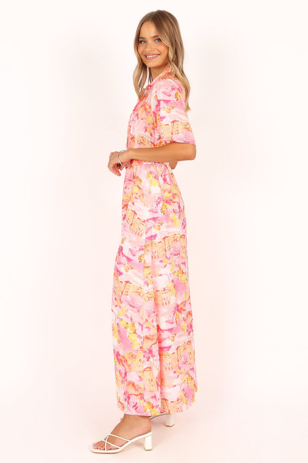 Petal and Pup USA DRESSES Arianna Maxi Dress - Pink Scenic