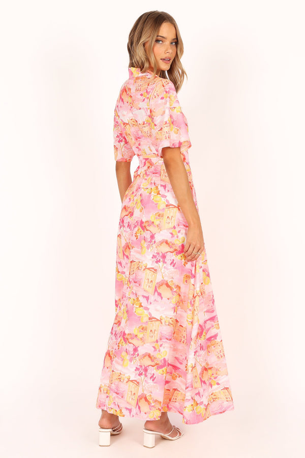 Petal and Pup USA DRESSES Arianna Maxi Dress - Pink Scenic