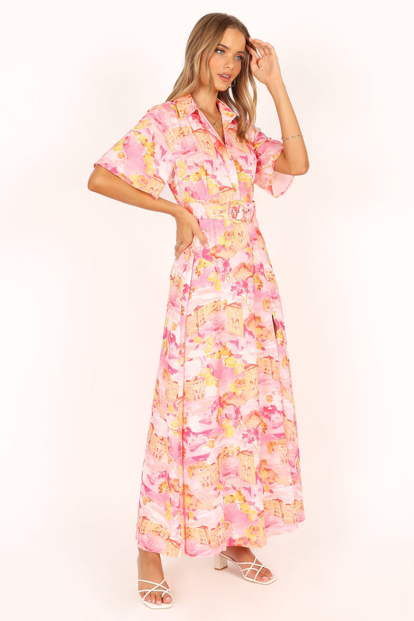 Petal and Pup USA DRESSES Arianna Maxi Dress - Pink Scenic