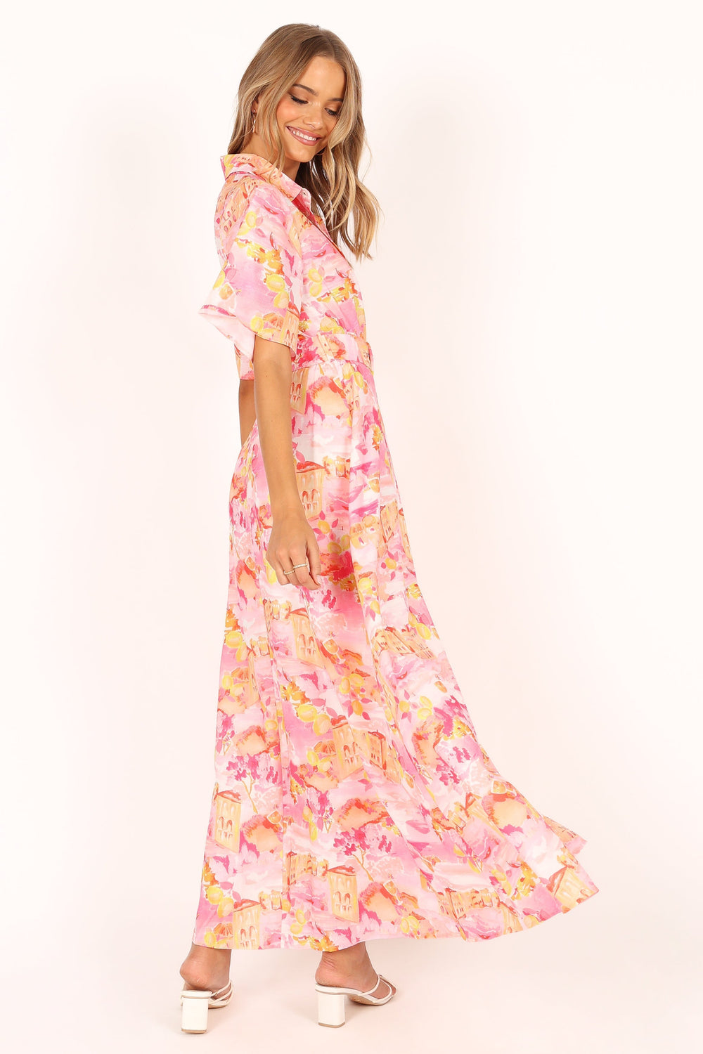 Petal and Pup USA DRESSES Arianna Maxi Dress - Pink Scenic