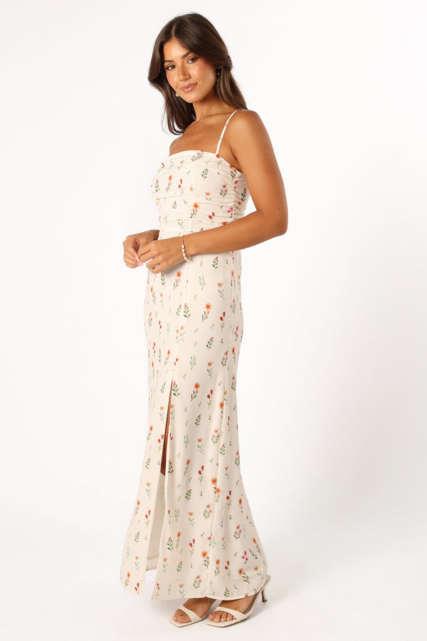 Petal and Pup USA DRESSES Ariel Maxi Dress - Ranala Print