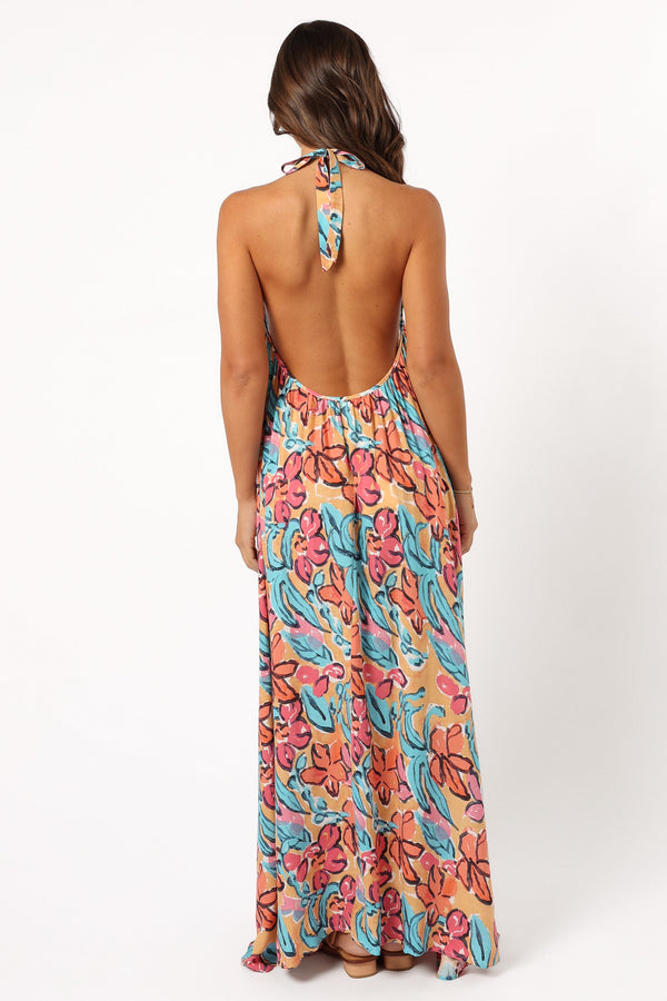 Petal and Pup USA DRESSES Avery Maxi Dress - Multi Floral