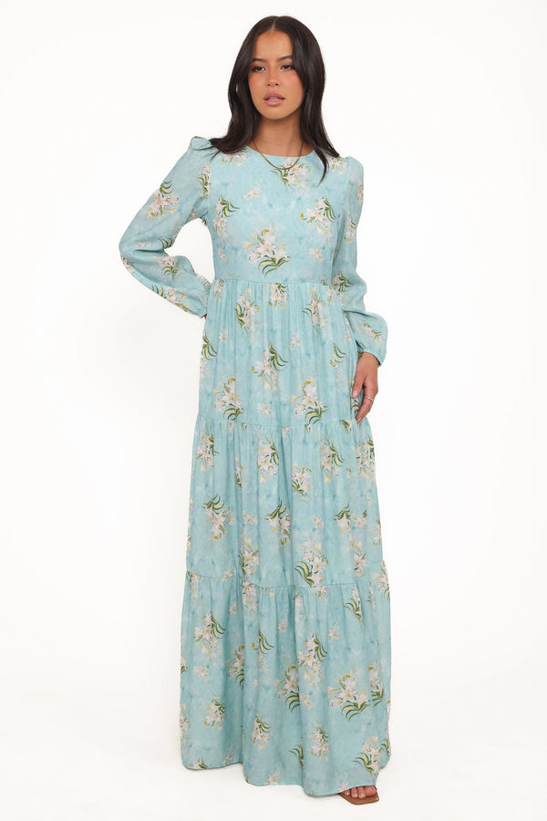 Petal and Pup USA DRESSES Bernice Maxi Dress - Blue Floral