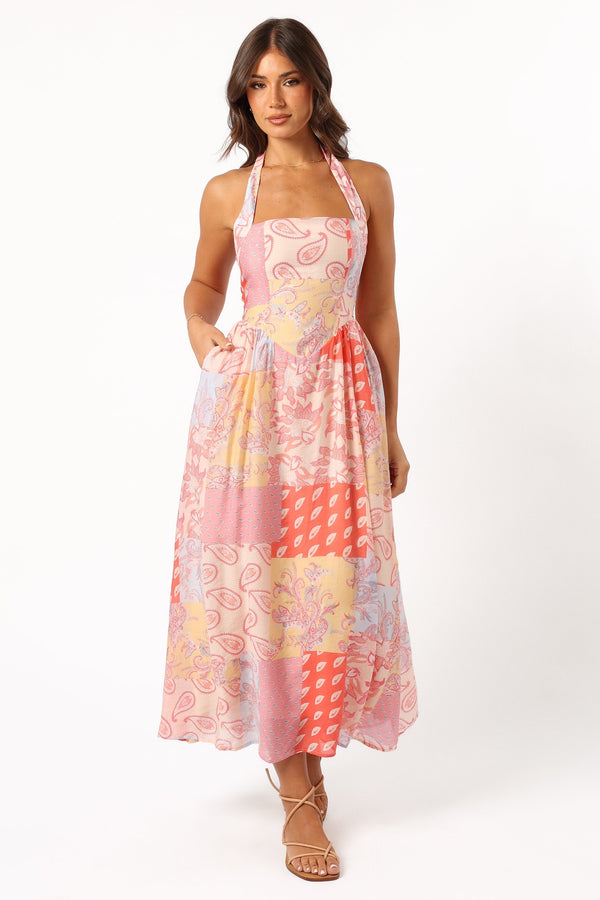 Petal and Pup USA DRESSES Blaire Maxi Dress - Pink Multi