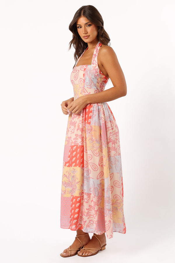 Petal and Pup USA DRESSES Blaire Maxi Dress - Pink Multi