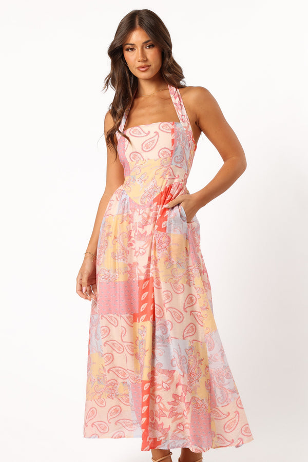 Petal and Pup USA DRESSES Blaire Maxi Dress - Pink Multi