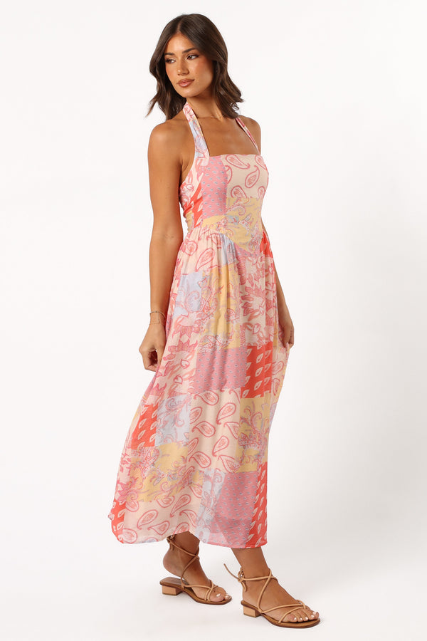 Petal and Pup USA DRESSES Blaire Maxi Dress - Pink Multi