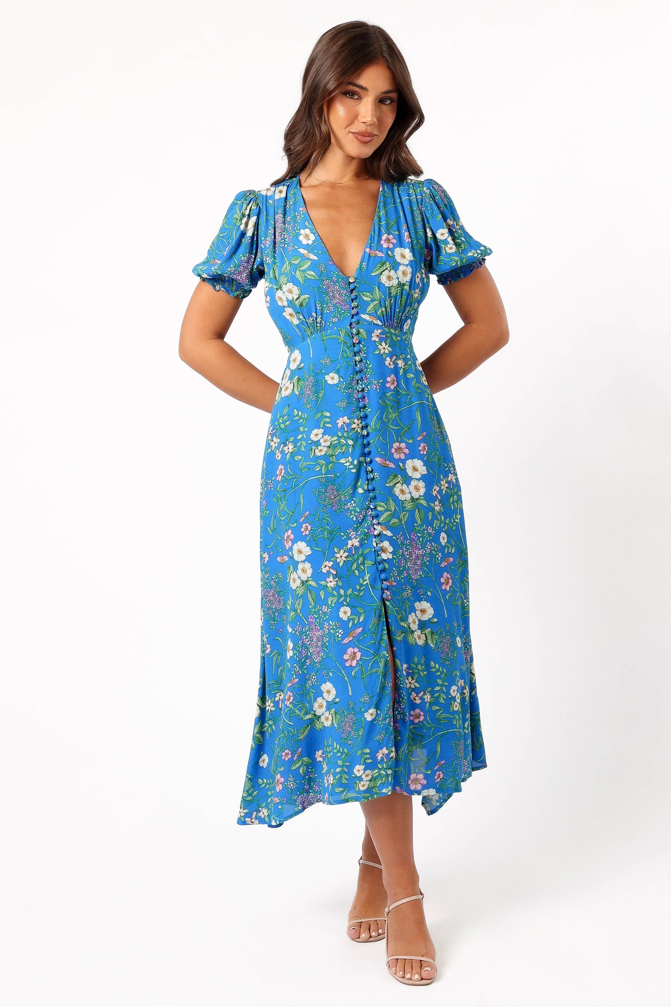 Petal and Pup USA DRESSES Brax Floral Dress - Blue Ivy