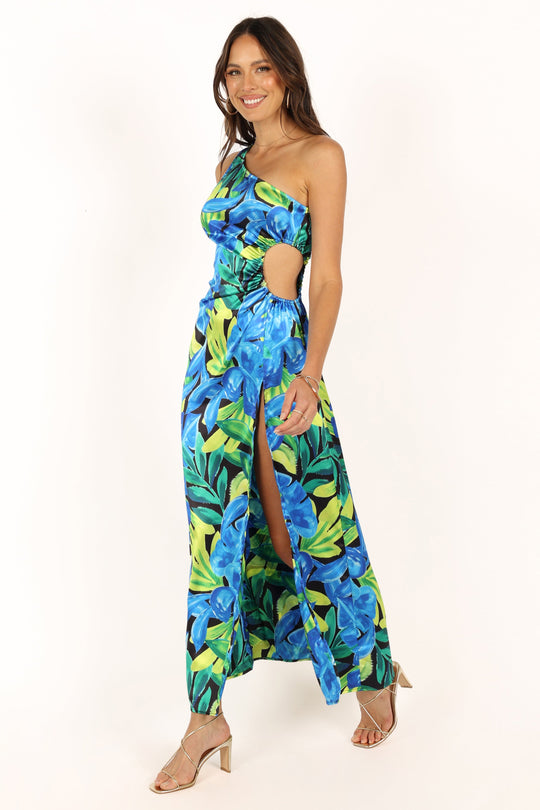 Brazilio Dress - Blue Floral - Petal & Pup USA