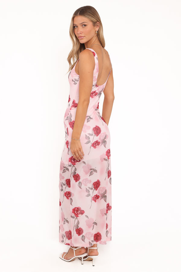 Petal and Pup USA DRESSES Brissa Maxi Dress - Pink Floral