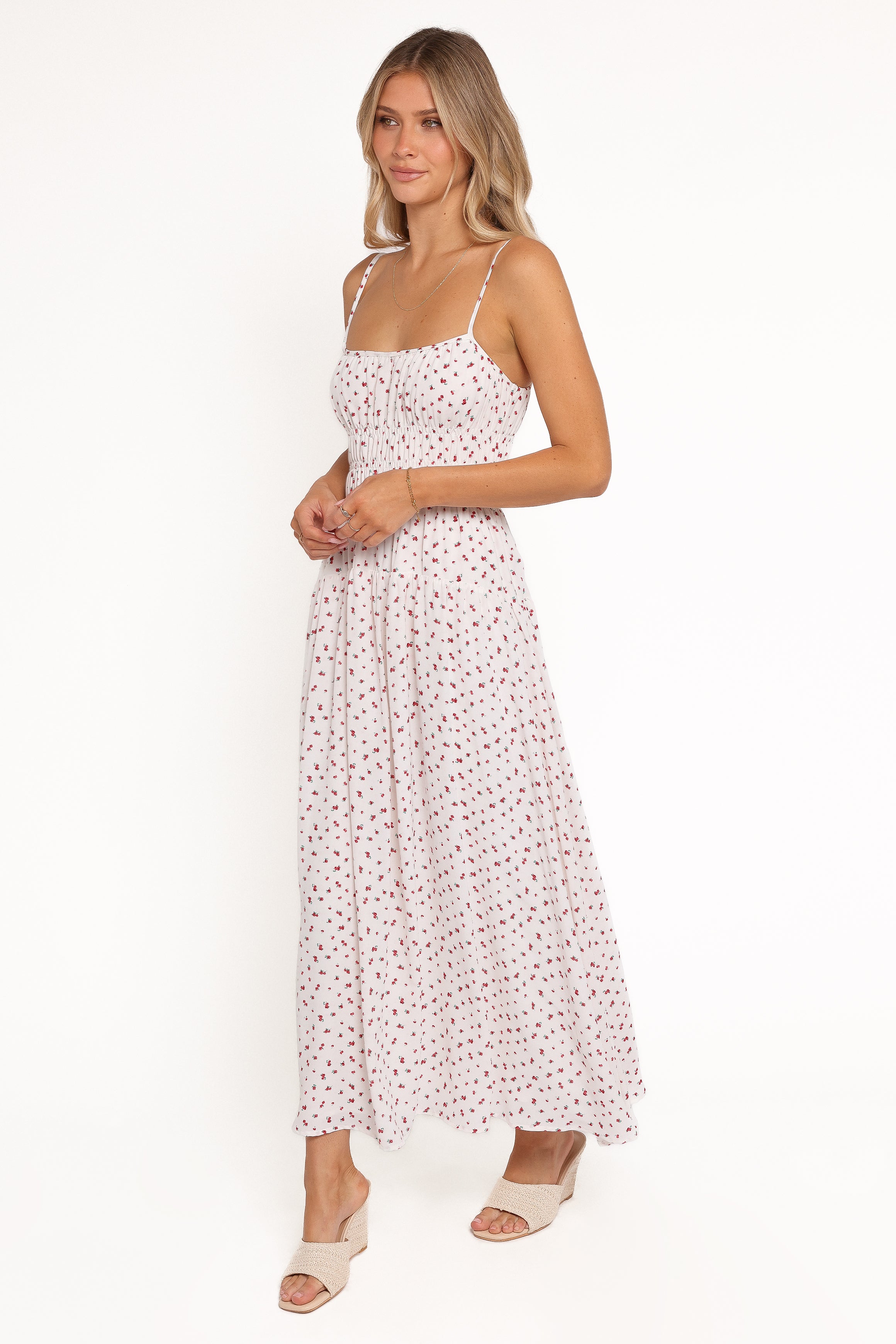 Petal and Pup USA DRESSES Brittany Maxi Dress - Red Floral