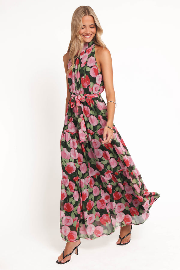Petal and Pup USA DRESSES Caroline Maxi Halter Dress - Black Floral