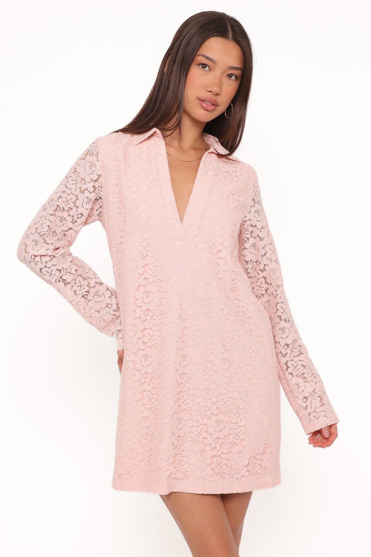 pink lace dress with sleeves Petal and Pup Women's Cidel Mini Dress
