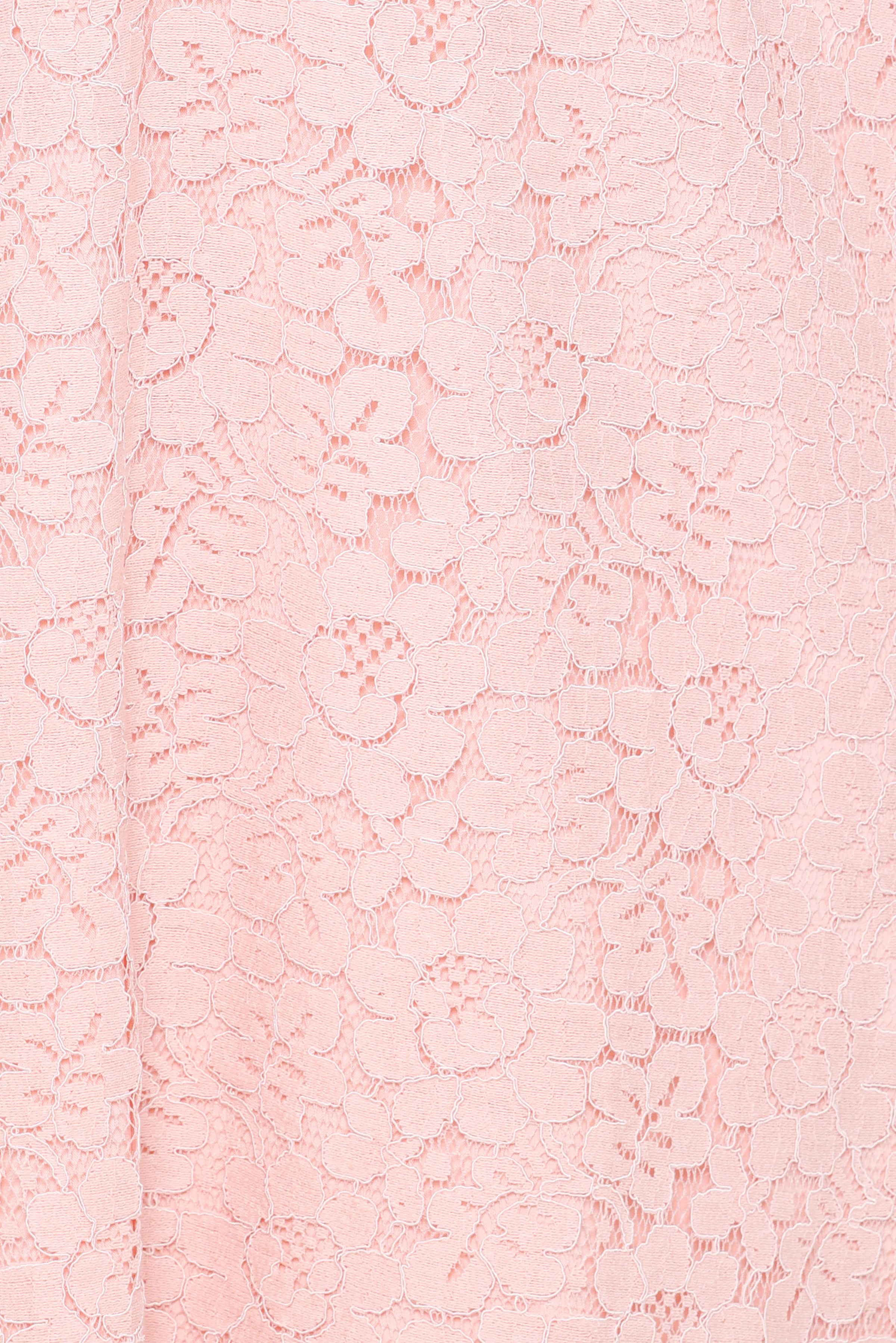 Petal and Pup USA DRESSES Cidel Mini Dress - Pink Lace
