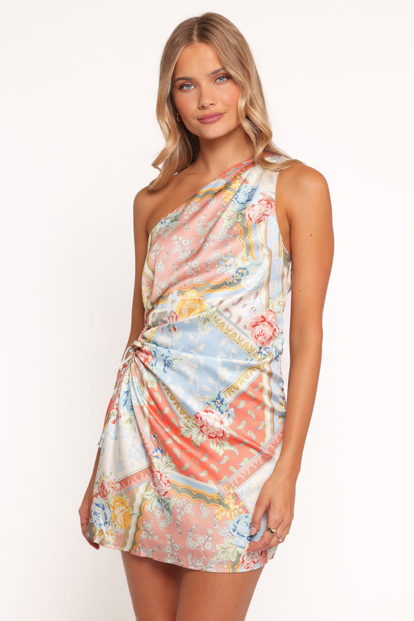 Petal and Pup USA DRESSES Clarke Mini Dress - Bel Air Rose