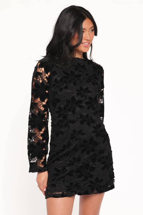 Petal and Pup USA DRESSES Cynthia Velvet Lace Mini Dress - Black