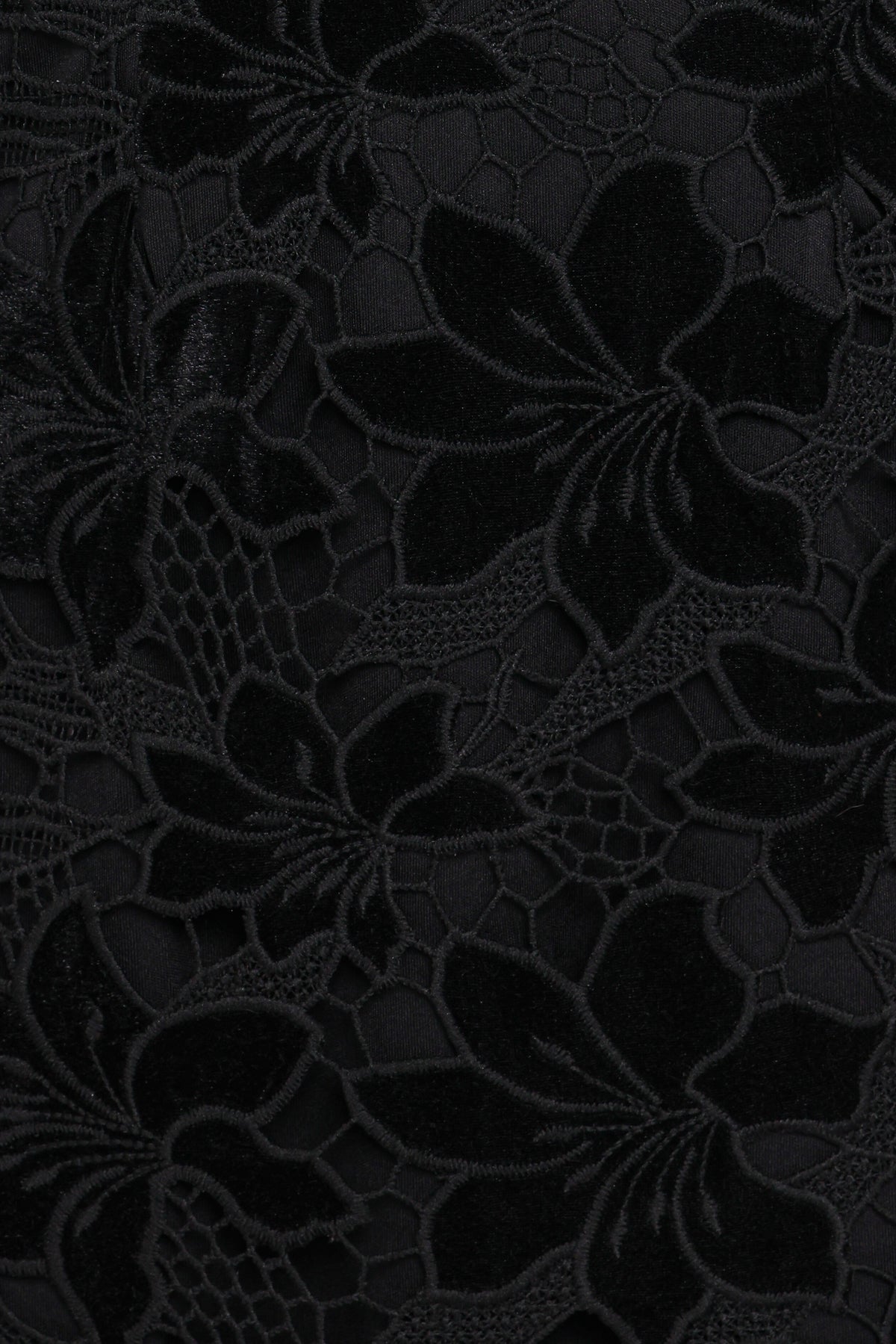 Cynthia Velvet Lace Mini Dress
