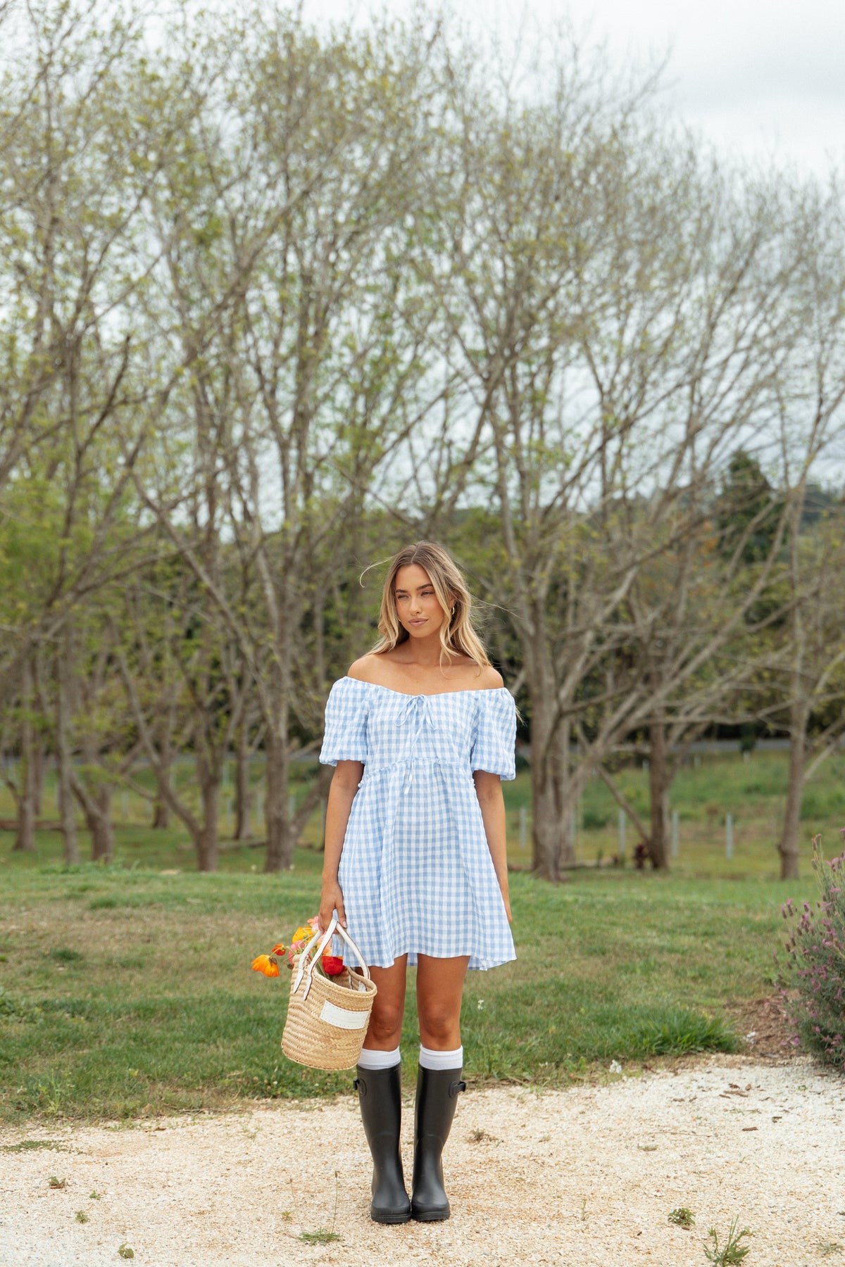 blue country dress Petal and Pup Women's Dorothea Mini Dress