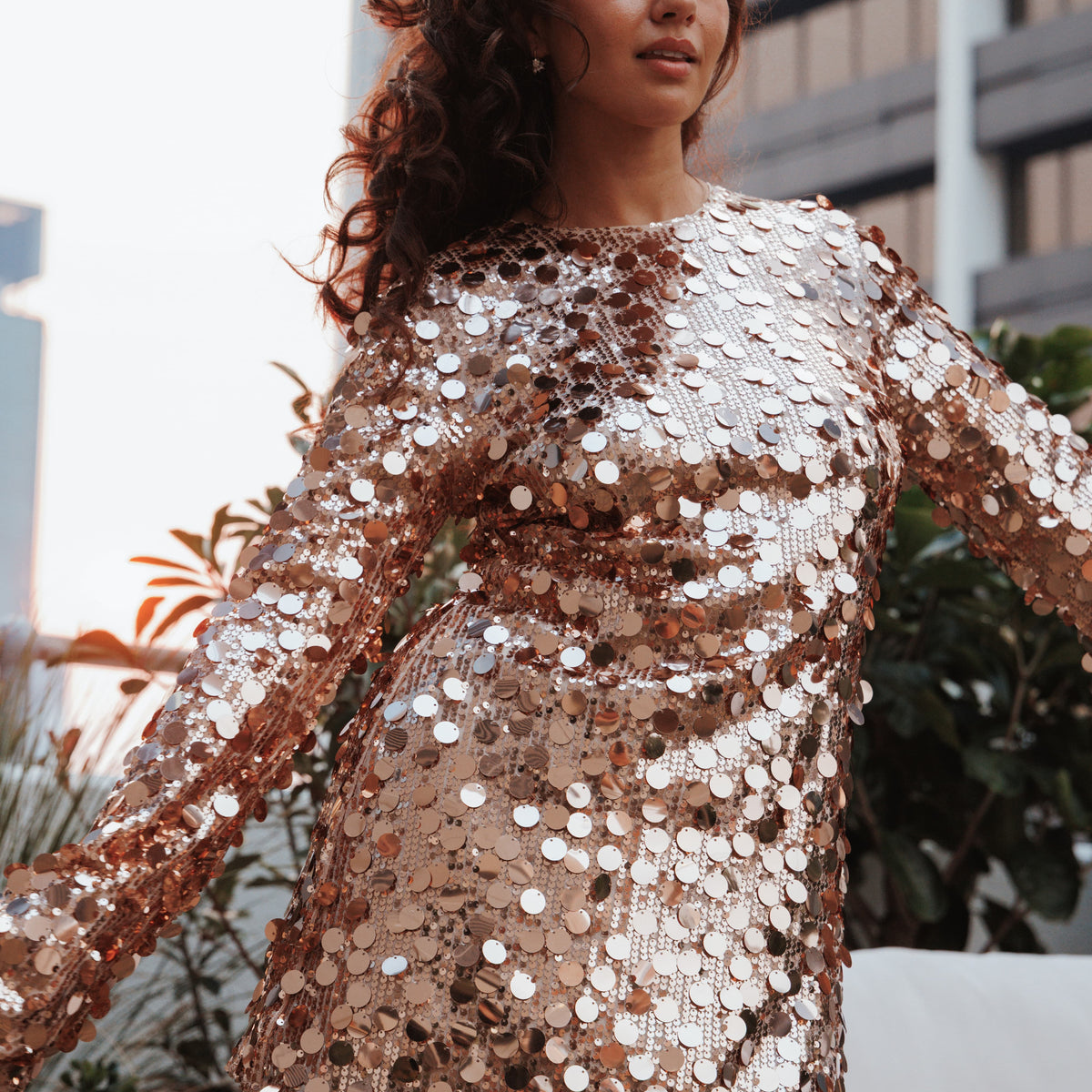 Electra Long Sleeve Mini Dress