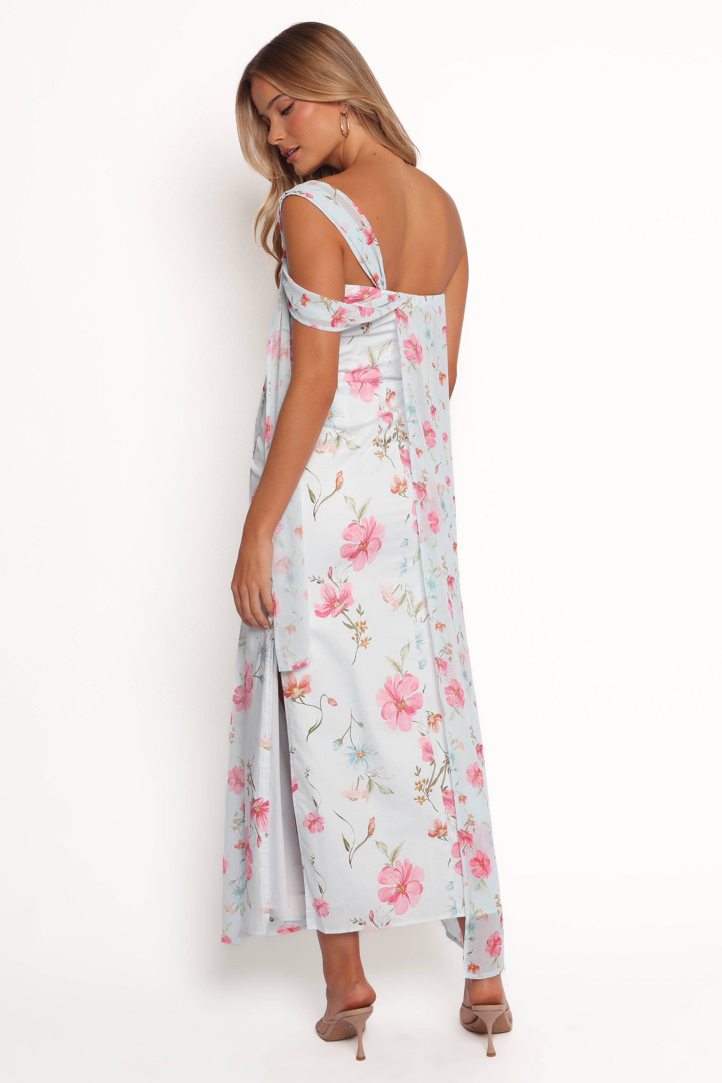 Petal and Pup USA DRESSES Eloisa Maxi Dress - Blue Floral
