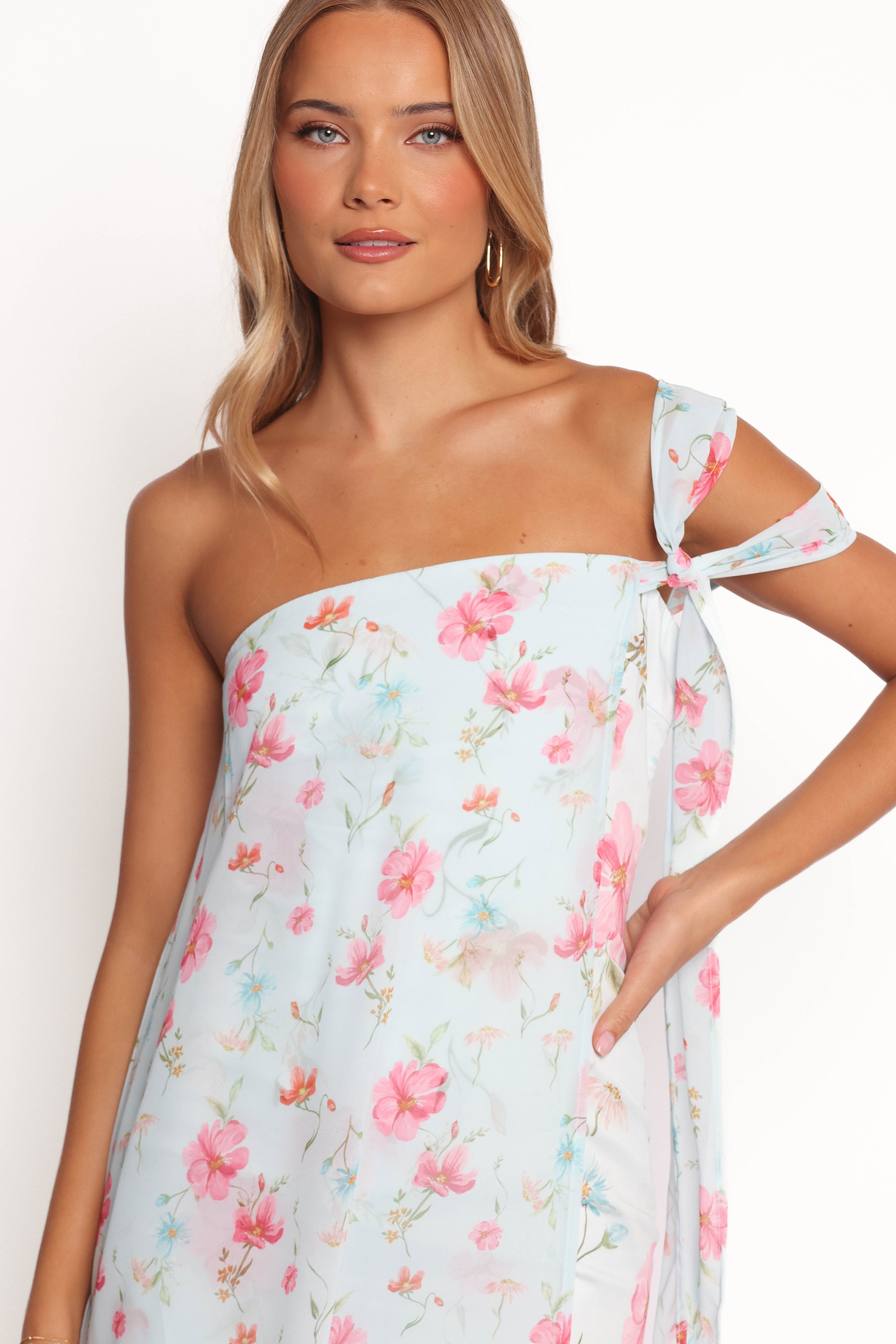 Petal and Pup USA DRESSES Eloisa Maxi Dress - Blue Floral