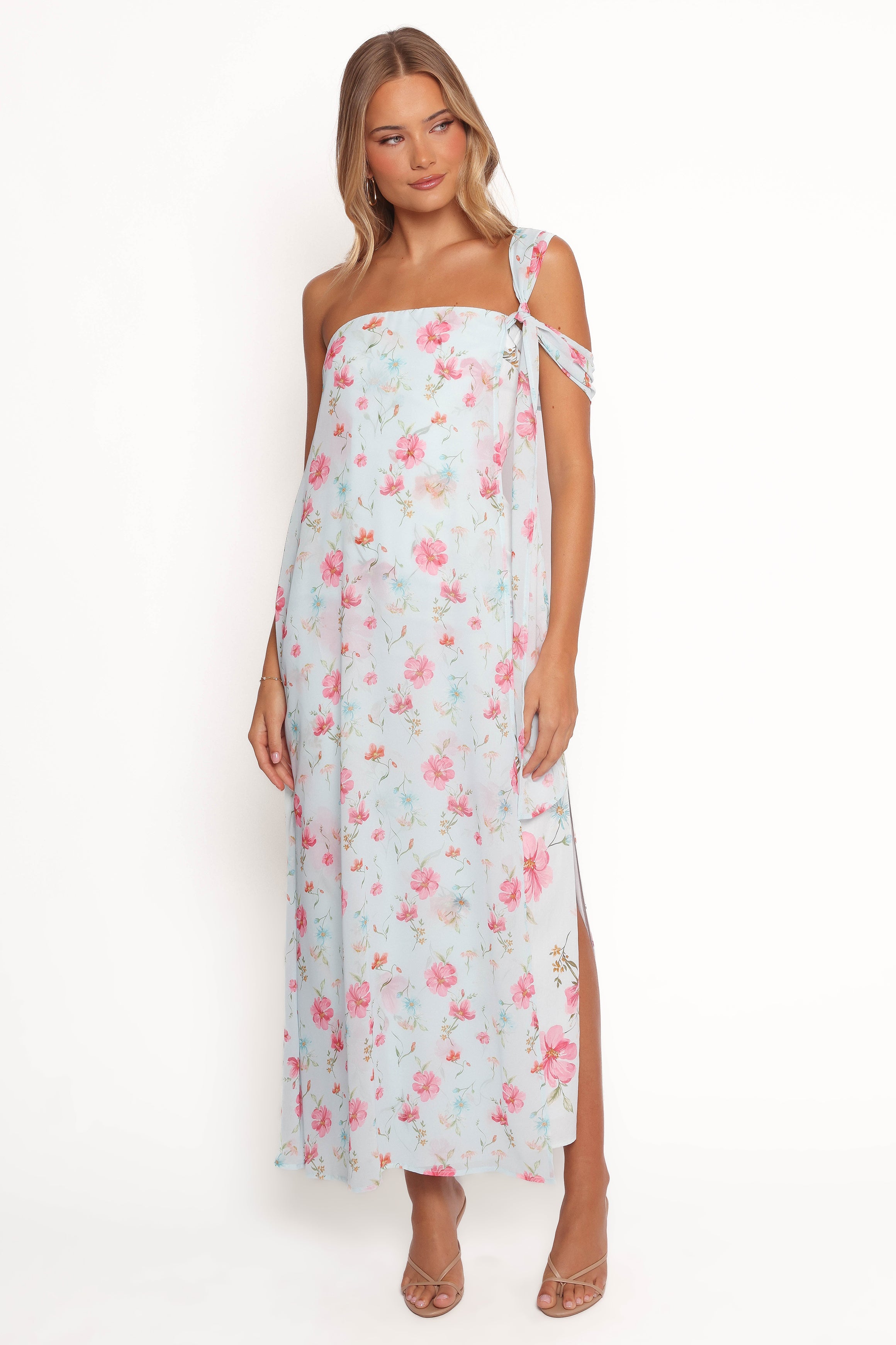 Petal and Pup USA DRESSES Eloisa Maxi Dress - Blue Floral