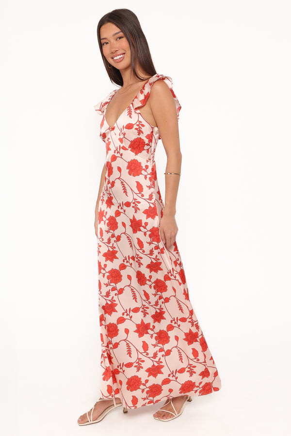 Petal and Pup USA DRESSES Enala Maxi Dress - Red Floral