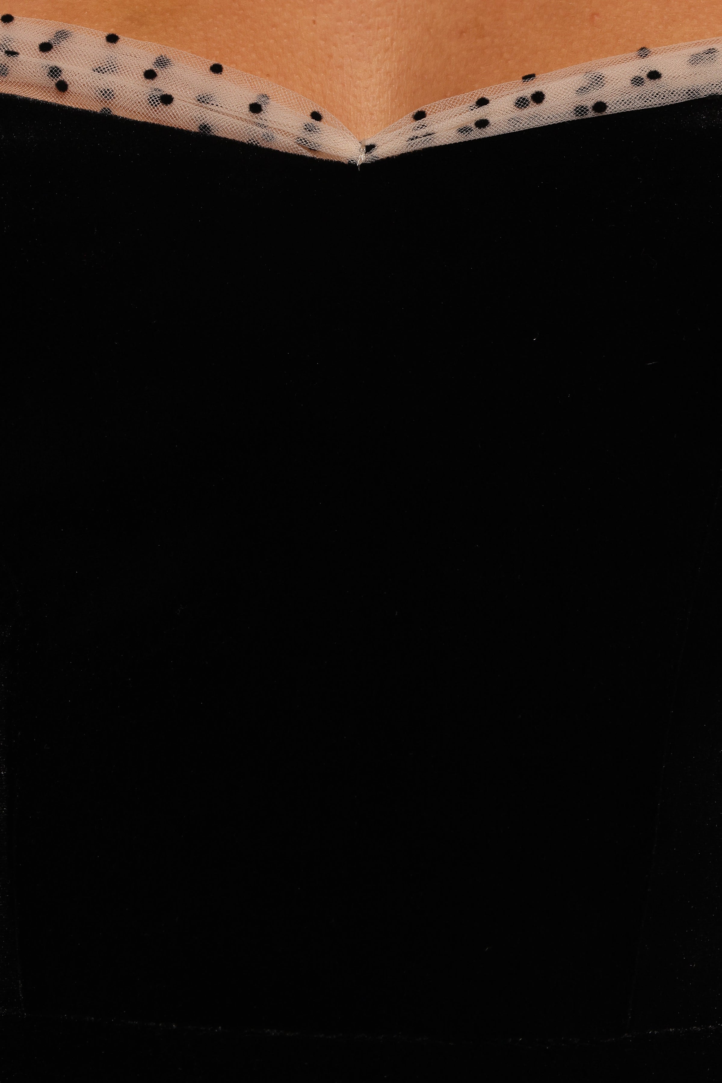 Petal and Pup USA DRESSES Ennette Velvet Mini Dress - Black