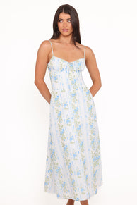 Petal and Pup USA DRESSES Florencia Midi Dress - Blue Floral