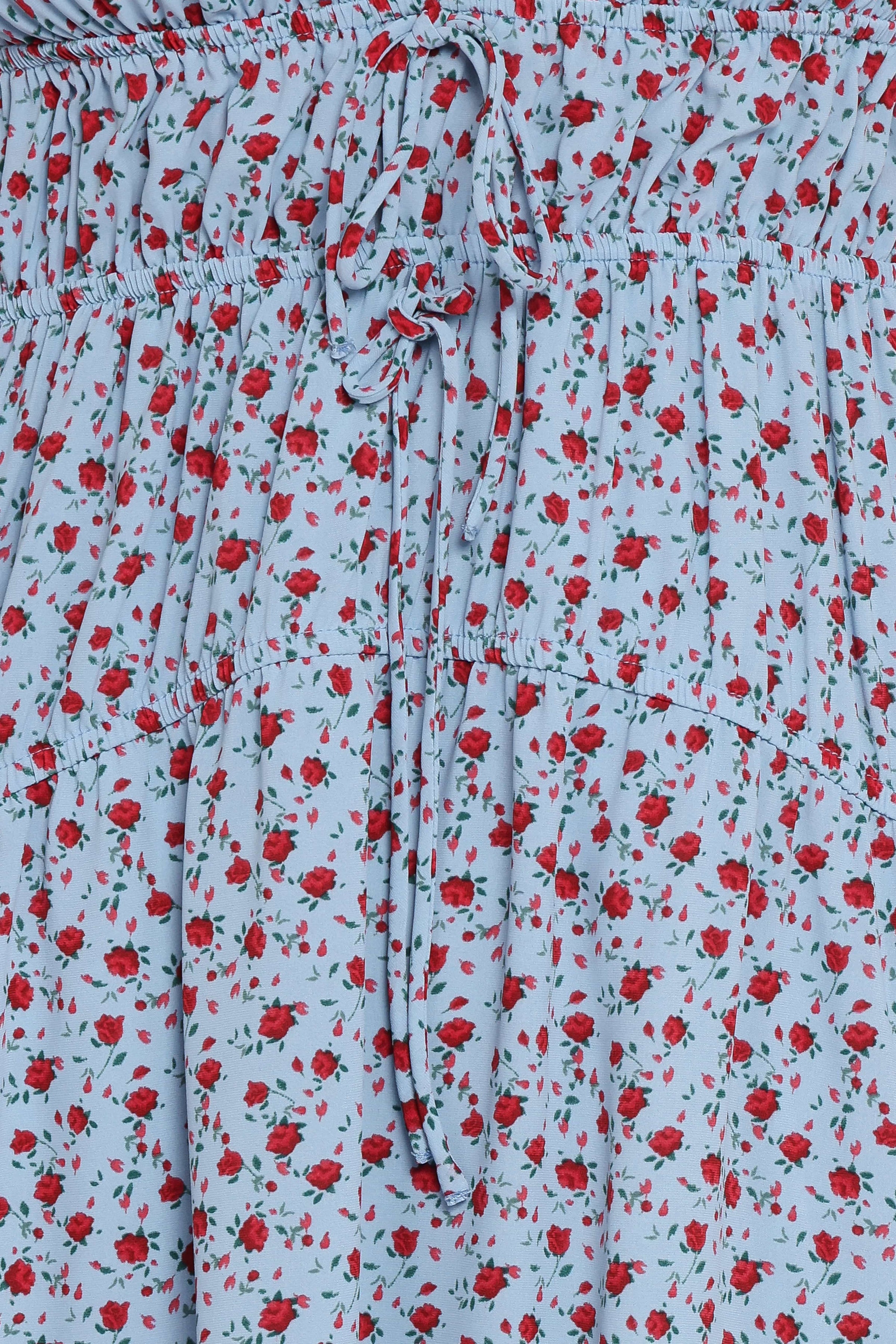 Petal and Pup USA DRESSES Freesia Midi Dress - Blue Red Floral