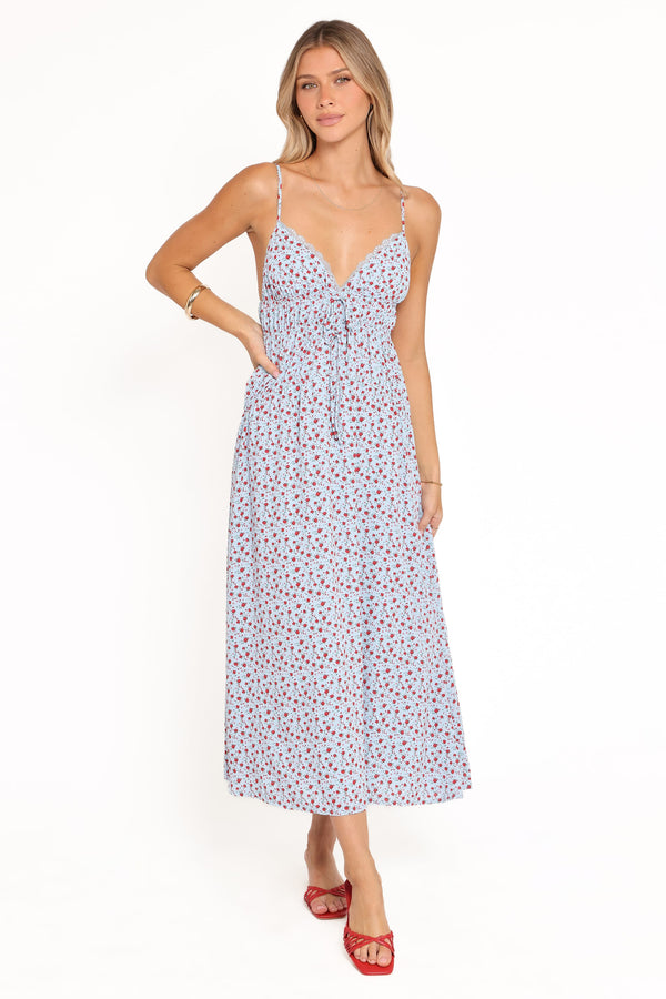 Petal and Pup USA DRESSES Freesia Midi Dress - Blue Red Floral
