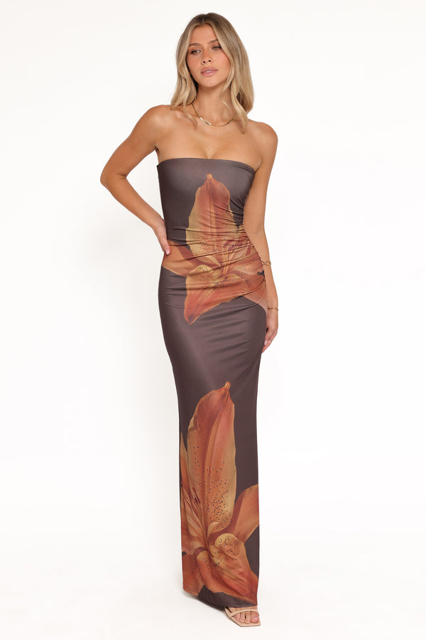 Petal and Pup USA DRESSES Ginny Strapless Maxi Dress - Brown