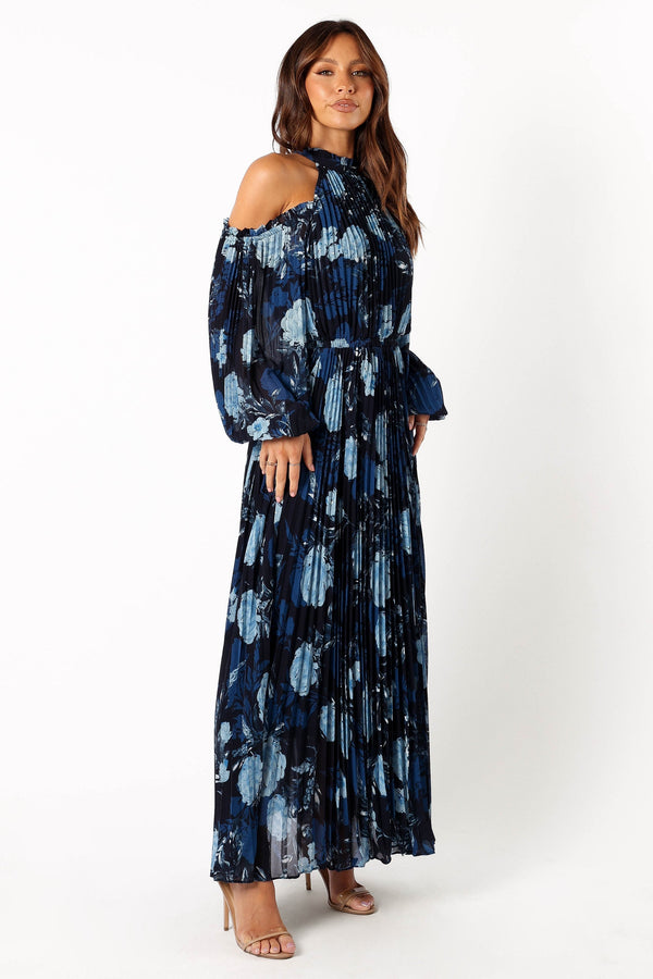 Petal and Pup USA DRESSES Hilary Pleated Maxi Dress - Blue Floral