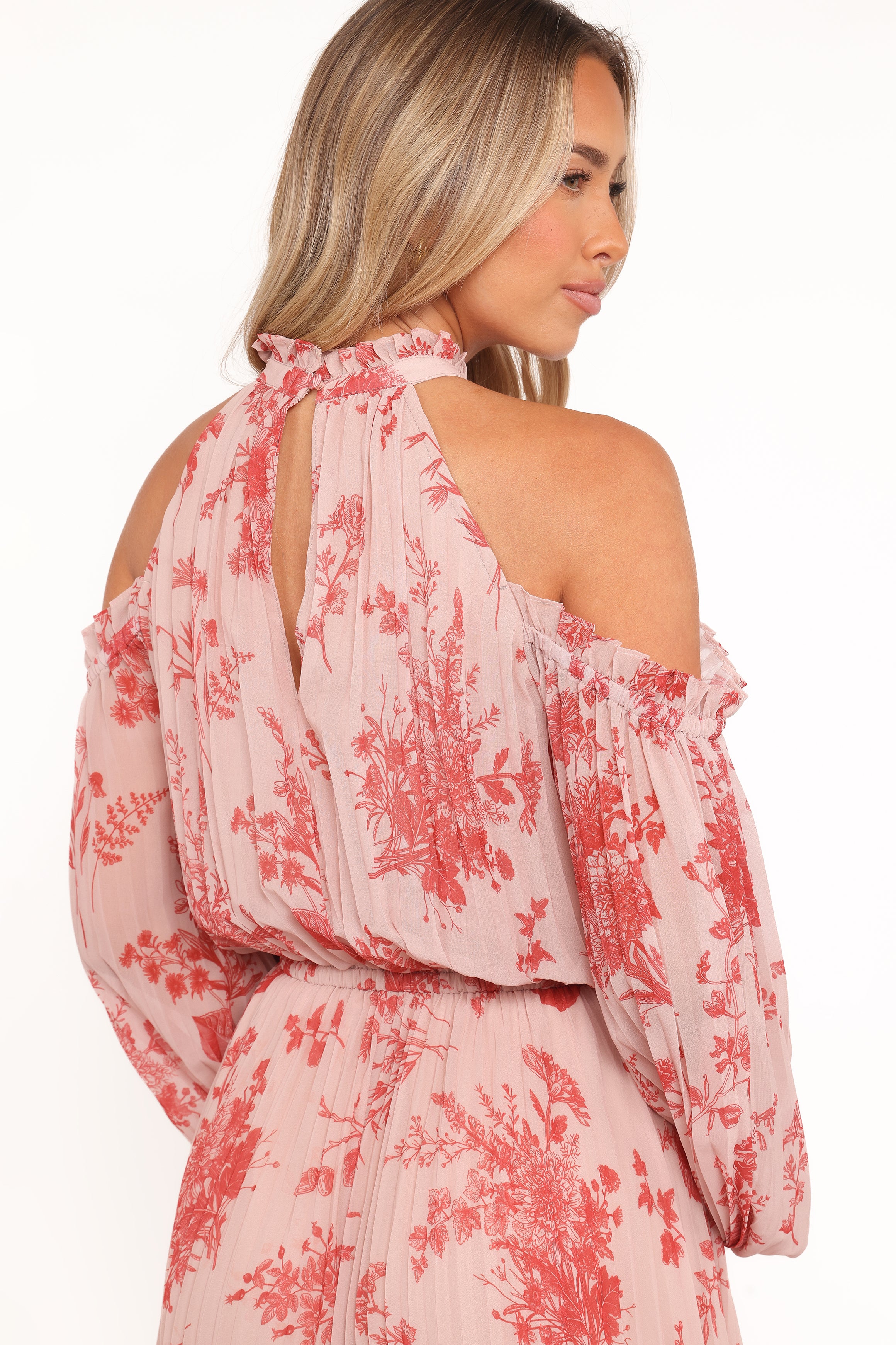 Petal and Pup USA DRESSES Hilary Pleated Maxi Dress - Red Floral