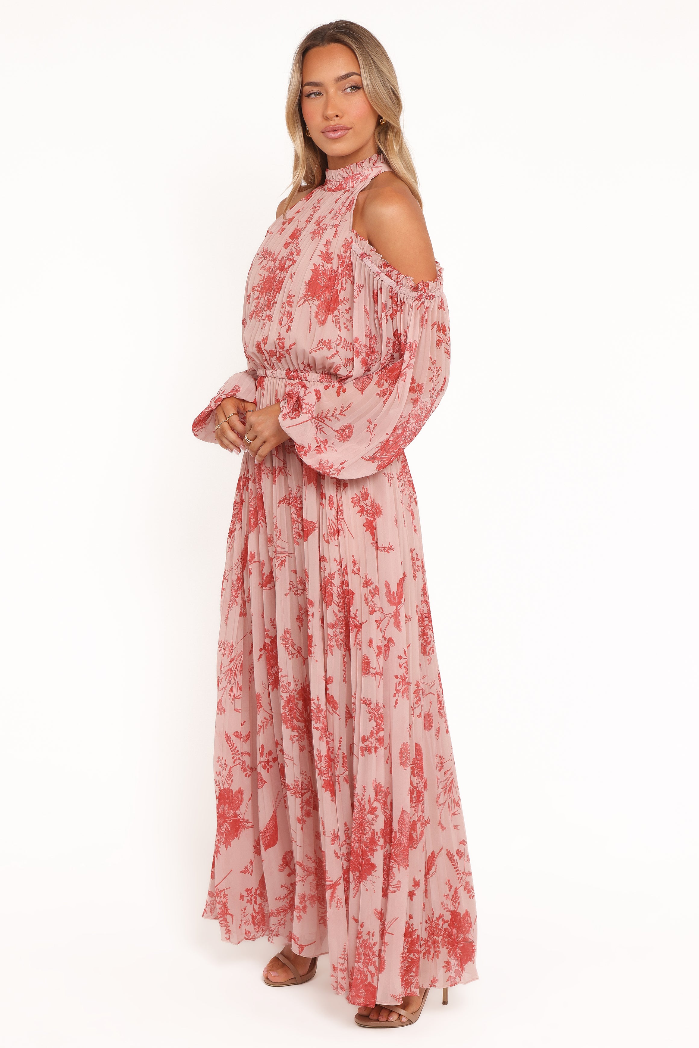 Petal and Pup USA DRESSES Hilary Pleated Maxi Dress - Red Floral