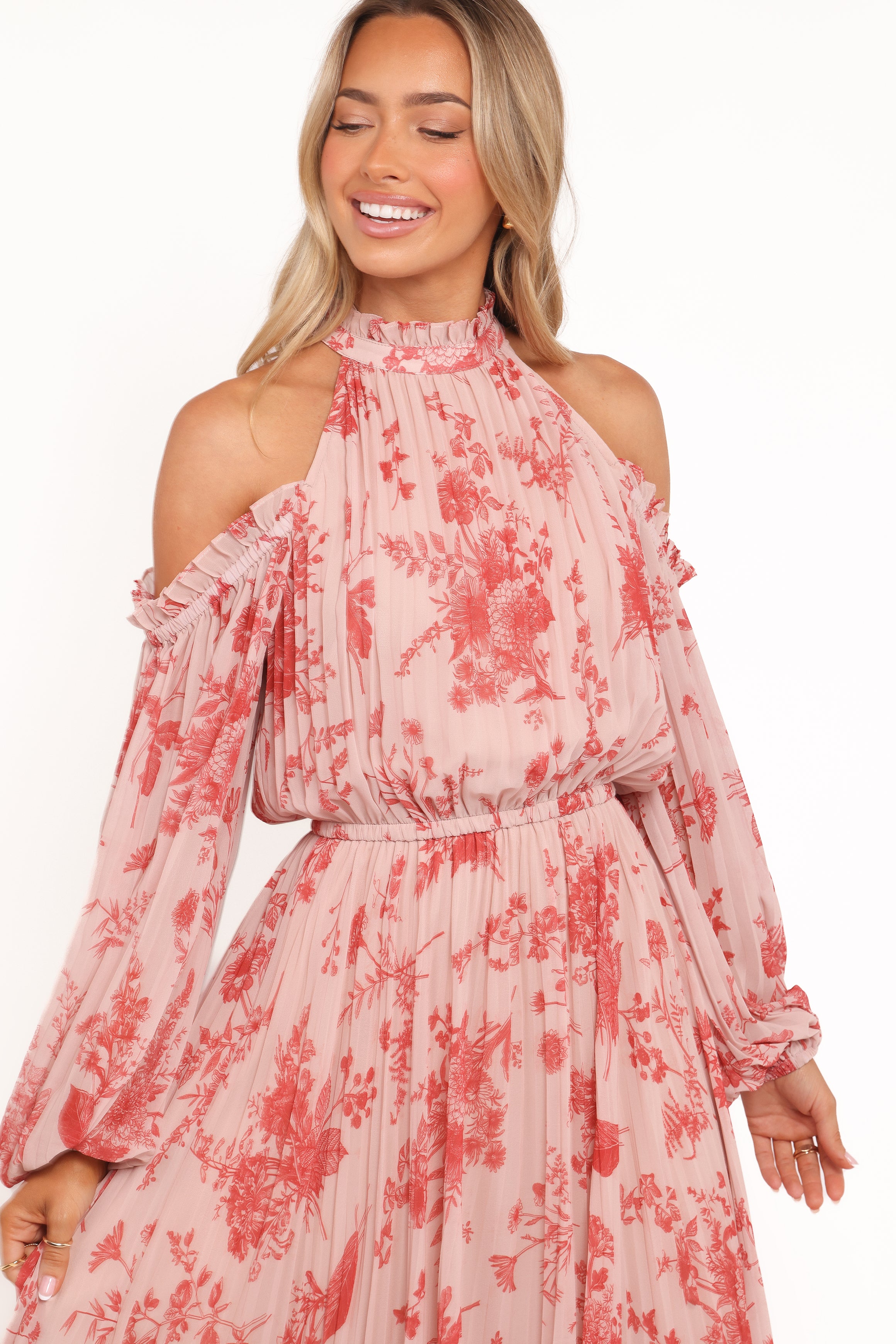 Petal and Pup USA DRESSES Hilary Pleated Maxi Dress - Red Floral