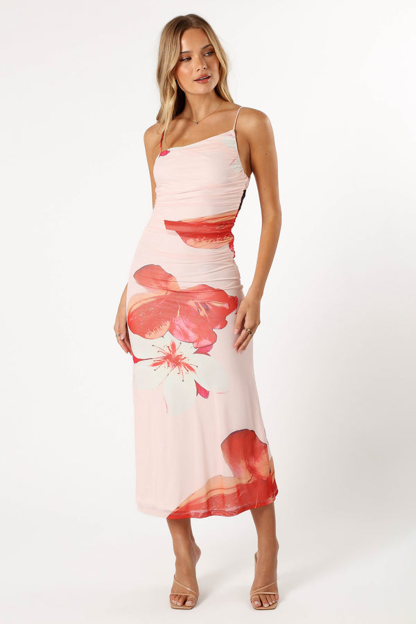 Petal and Pup USA DRESSES Jasmine Maxi Dress - Pink Floral