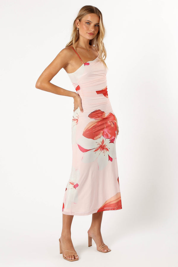 Petal and Pup USA DRESSES Jasmine Maxi Dress - Pink Floral