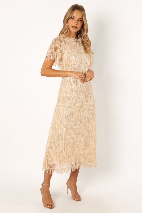 Petal and Pup USA DRESSES Kala Textured Maxi Dress - Beige