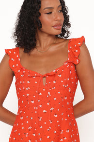 Petal and Pup USA DRESSES Lacey Mini Dress - Red Floral