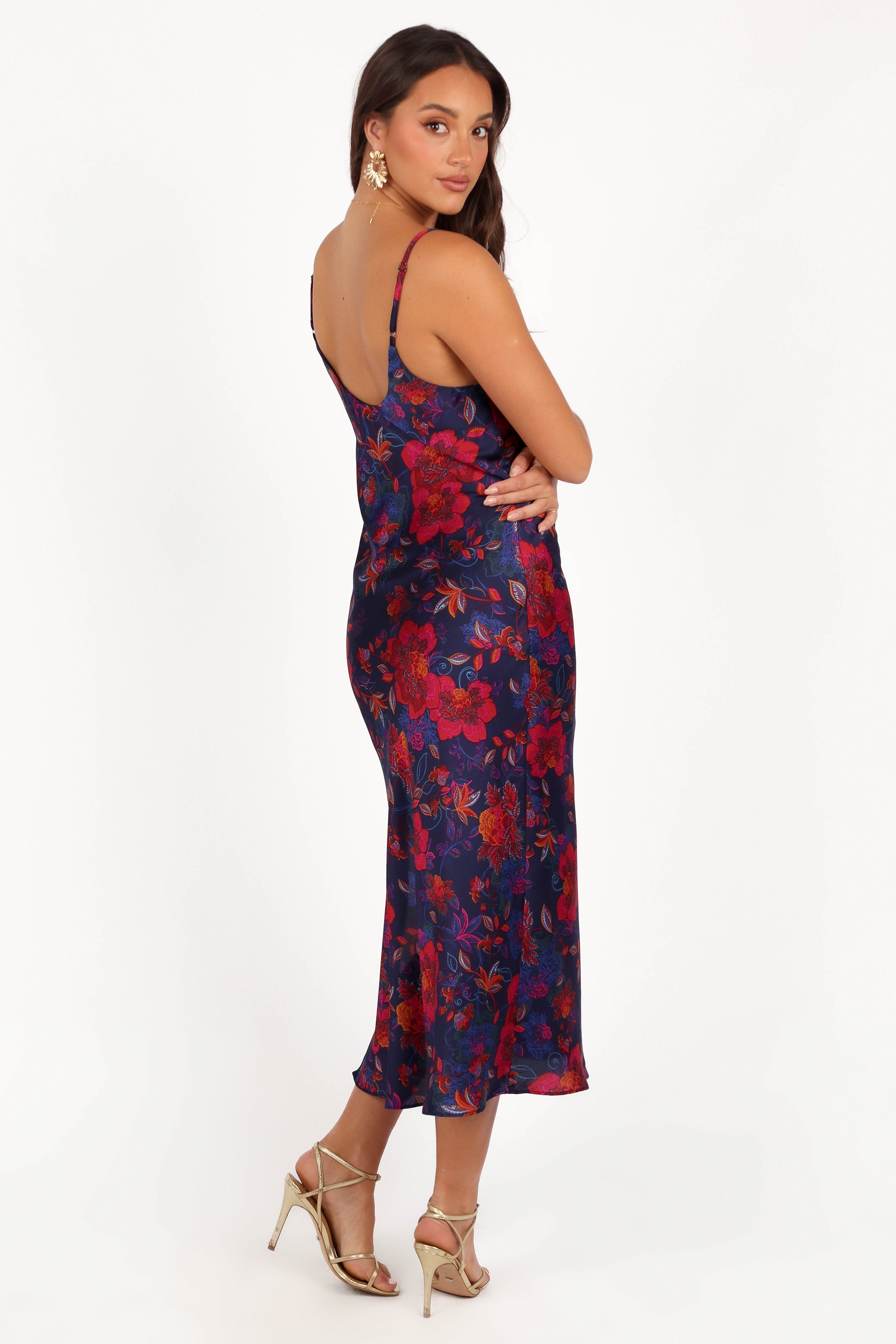 Petal and Pup USA DRESSES Lenore Midi Dress - Midnight Pomegranate